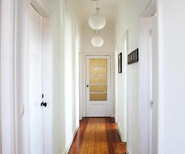 House Of Music 3 פורטו